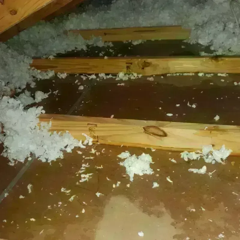 Attic Water Damage in Salome, AZ