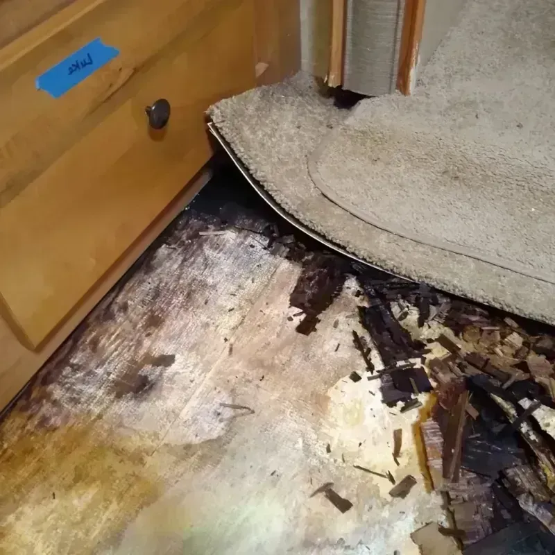 Best Wood Floor Water Damage Service in Salome, AZ